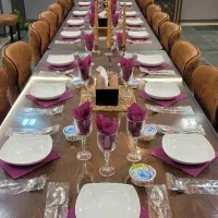 نیرو ساده خانم