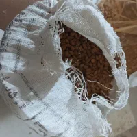 مغز بادام آذر یک دست