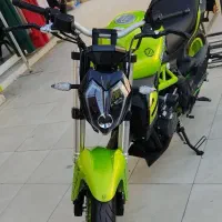 بنلی 300 جفت