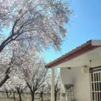 فروش خانه ویلایی ۱۰۰ متری ۲ خوابه|فروش خانه و ویلا|دهج, |دیوار