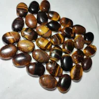 پک ۳۳ عددی چشم ببر