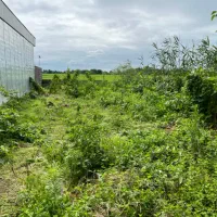 زمینی کلنگی، ۲۰۱ متر مربع|فروش زمین و ملک کلنگی|کیاشهر, |دیوار