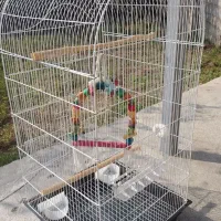 قفس پرنده|لوازم جانبی حیوانات|رشت, کوی فکوری|دیوار