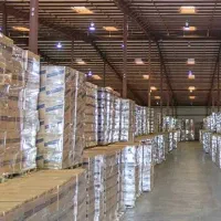 استخدام نیروی جوان برای جمعآوری خرما در سردخانه