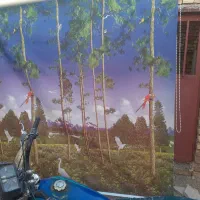 دوعددآیینه قدی ،یک رگال تمام استیل|آینه|اسفراین, |دیوار