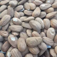 بادام کاغذی درجه یک|عمدهفروشی|ششده و قره بلاغ, |دیوار