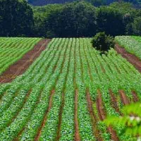 کارگر کشاورزی.ابگیر .ابیار زمین کشاورزی.سالاراب