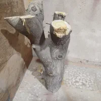 کنده چوب|عمده‌فروشی|پردیس, سیاه سنگ|دیوار