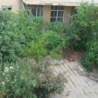 فروش کلنگی دوبر/تراکم 6سقف/بلوار بسیج