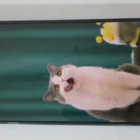 نوت 12 سالم ب شرط