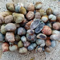 عقیق سلیمانی وشجر