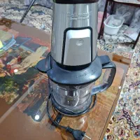 خردکن برقی دلمونتی