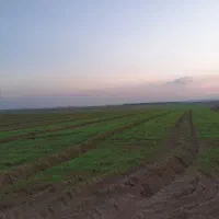11هکتار 5ساله اجاره داده میشود