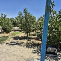 1300باغ سند دار|فروش خانه و ویلا|مشهد, میان ولایت|دیوار