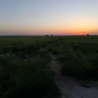 فروش زمین تجاری