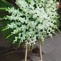 تاج گل