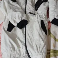 کافشن اسپرت|لباس|نیشابور, مدرس|دیوار