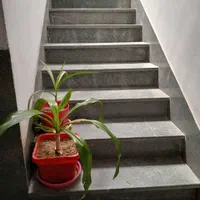 فروش آپارتمان ۷۵ متری ۱ خوابه طبقه ۲ در فردوان|فروش آپارتمان|اصفهان, فردوان|دیوار