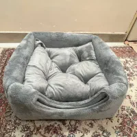 جای خواب گریه