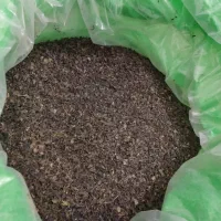 چای بهاره گیلان