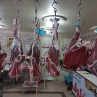 استخدام خانم ادمین و بلاگر حضوری|استخدام بازاریابی و فروش|تهران, جیحون|دیوار