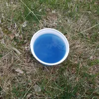 نیسان مدل 85