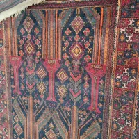 فرس دستباف سیستان|فرش|زاهدان, |دیوار