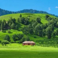 جویای کار نقاشی و کاشی‌کاری و ساختمانی