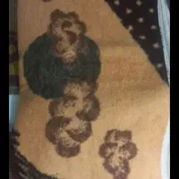 پتو حمل اثاث