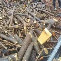 چوب|خدمات باغبانی و درختکاری|صدرا-فارس, فاز ۱|دیوار