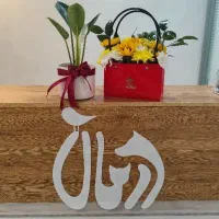 کلینیک حیوانات خانگی درمـان - دامپزشک همه‌روزه|خدمات پیشه و مهارت|تهران, گلستان (شهرک راه آهن)|دیوار