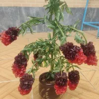 گل کریستال دست ساز خانگی