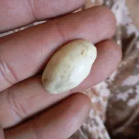 یاقوت معدنی زمرد ذغال دار بابا قوری طبیعی و مهره|جواهرات|زابل, |دیوار