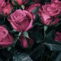 طلای دست دوم