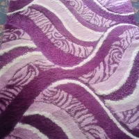 دومتری به همرا پادری