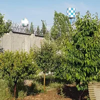 ۱۰۰۰ متر کردان معاوضه با آپارتمان یا ماشین|فروش آپارتمان|کوهسار (البرز), |دیوار
