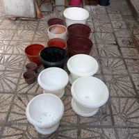 گلدان پلاستیکی