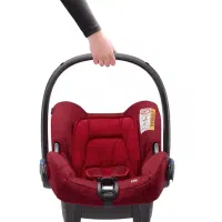 کریر نوازد|کالسکه و لوازم جانبی|گمیشان, |دیوار