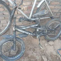 دوچرخه|دوچرخه، اسکیت، اسکوتر|کاشمر, |دیوار