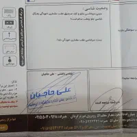 پژو ۲۰۶ تیپ ۳ تمیز و سالم|خودرو سواری و وانت|مشهد, سعد آباد|دیوار