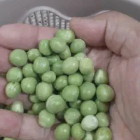 نخود دان شده