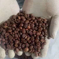 رستری و پخش قهوه|عمده‌فروشی|اصفهان, نمایشگاه بین المللی اصفهان|دیوار