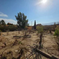 باغ انجیره|فروش دفتر صنعتی، کشاورزی، تجاری|شیراز, انجیره|دیوار