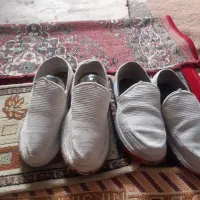 کفش|کیف، کفش، کمربند|بوکان, |دیوار