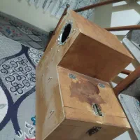 جوجه گرینچیک ملنگو شاه لانه قفس کاسکویی|پرنده|مشهد, نیزه|دیوار