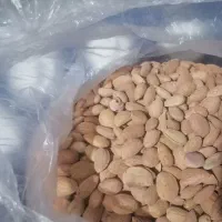 بادام کوهی تلخ