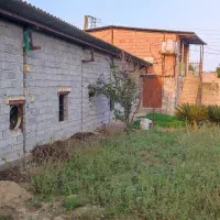 فروش دامداری (پرورش گوسفند)