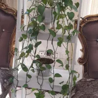 جاگلدان ۴طبقه