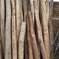 حدود 2 تن چوب سقفی سالم