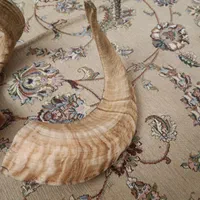 شاخ|صنایع دستی و سایر لوازم تزئینی|تهران, فلاح|دیوار